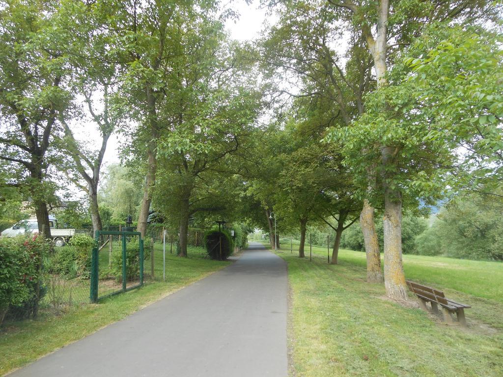 Ferienhaus Mosel Villa Brauneberg Kültér fotó