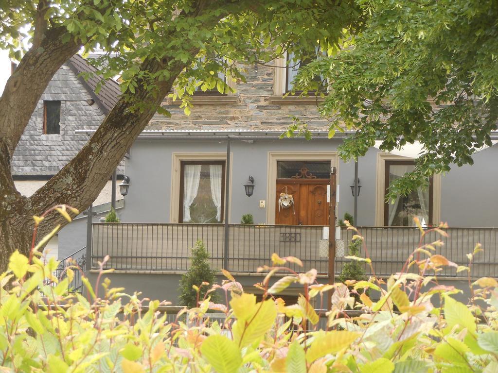 Ferienhaus Mosel Villa Brauneberg Kültér fotó