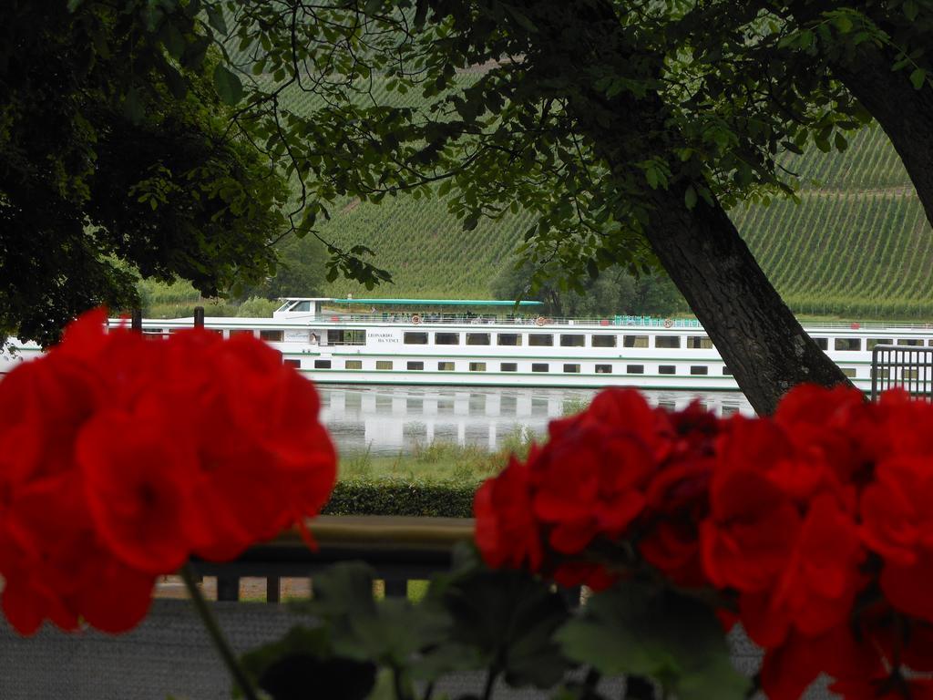 Ferienhaus Mosel Villa Brauneberg Kültér fotó